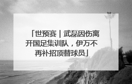 世预赛｜武磊因伤离开国足集训队，伊万不再补招顶替球员