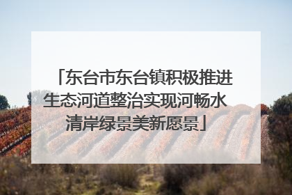 东台市东台镇积极推进生态河道整治实现河畅水清岸绿景美新愿景