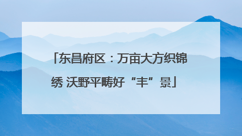 东昌府区：万亩大方织锦绣 沃野平畴好“丰”景