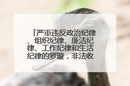 严重违反政治纪律、组织纪律、廉洁纪律、工作纪律和生活纪律的罗璇，非法收受他人巨额财物