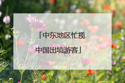 中东地区忙揽中国出境游客