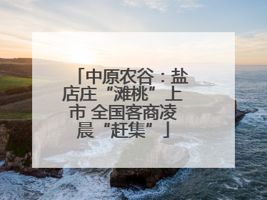 中原农谷：盐店庄“滩桃”上市 全国客商凌晨“赶集”