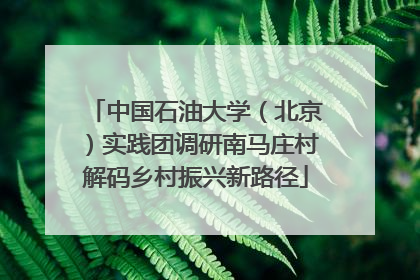 中国石油大学（北京）实践团调研南马庄村解码乡村振兴新路径