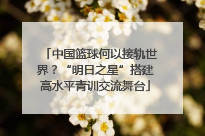 中国篮球何以接轨世界？“明日之星”搭建高水平青训交流舞台