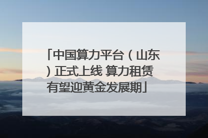 中国算力平台（山东）正式上线 算力租赁有望迎黄金发展期