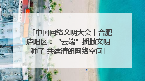 中国网络文明大会｜合肥庐阳区：“云端”播撒文明种子 共建清朗网络空间