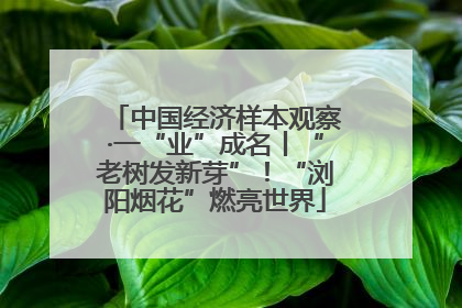 中国经济样本观察·一“业”成名丨“老树发新芽”！“浏阳烟花”燃亮世界