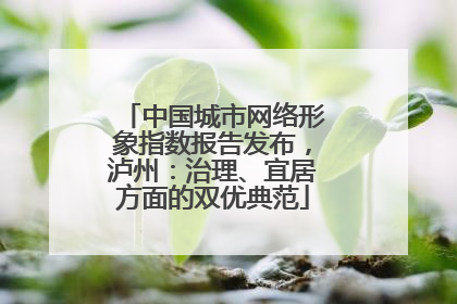 中国城市网络形象指数报告发布，泸州：治理、宜居方面的双优典范