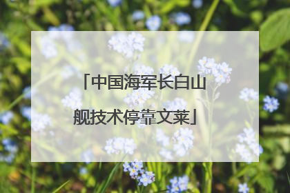 中国海军长白山舰技术停靠文莱