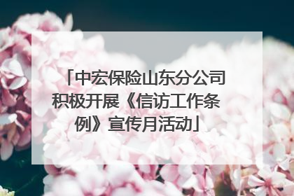 中宏保险山东分公司积极开展《信访工作条例》宣传月活动