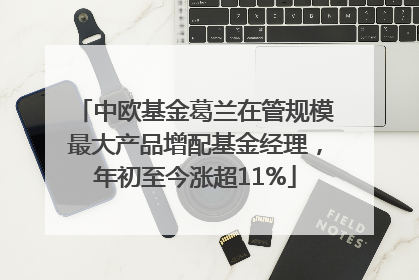 中欧基金葛兰在管规模最大产品增配基金经理，年初至今涨超11%
