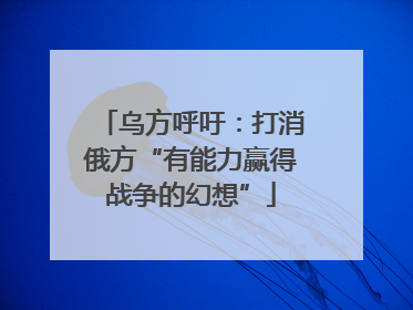 乌方呼吁：打消俄方“有能力赢得战争的幻想”