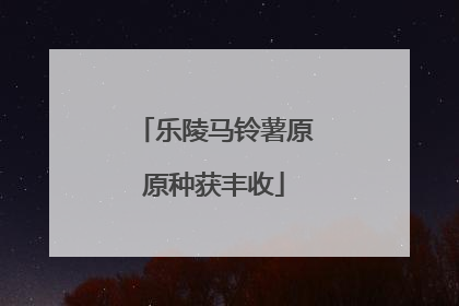乐陵马铃薯原原种获丰收