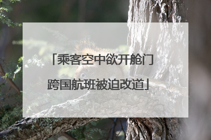 乘客空中欲开舱门 跨国航班被迫改道
