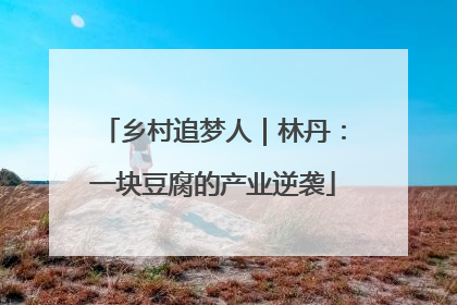 乡村追梦人｜林丹：一块豆腐的产业逆袭