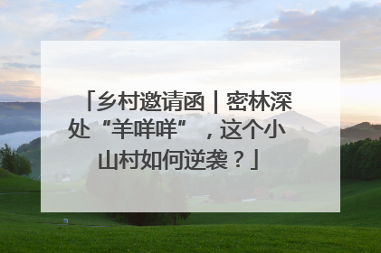 乡村邀请函｜密林深处“羊咩咩”，这个小山村如何逆袭？