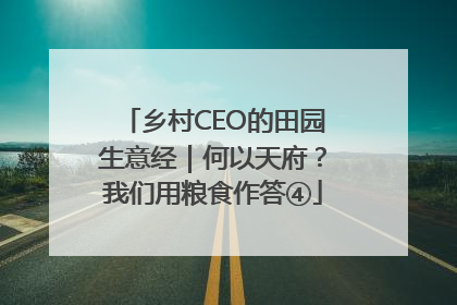 乡村CEO的田园生意经｜何以天府？我们用粮食作答④