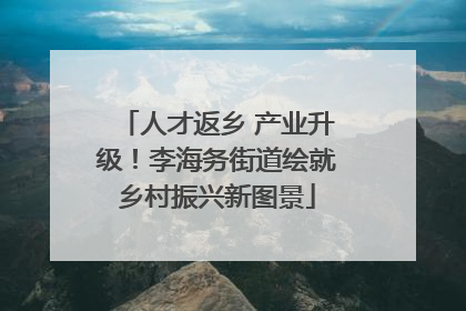 人才返乡 产业升级！李海务街道绘就乡村振兴新图景