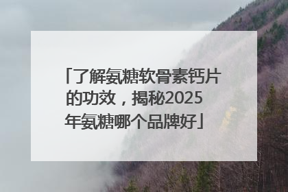 了解氨糖软骨素钙片的功效，揭秘2025年氨糖哪个品牌好