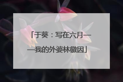 于葵：写在六月——我的外婆林徽因