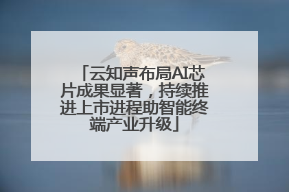 云知声布局AI芯片成果显著，持续推进上市进程助智能终端产业升级
