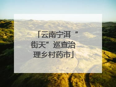 云南宁洱“街天”巡查治理乡村药市