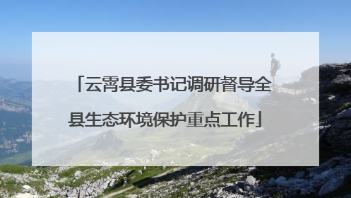 云霄县委书记调研督导全县生态环境保护重点工作
