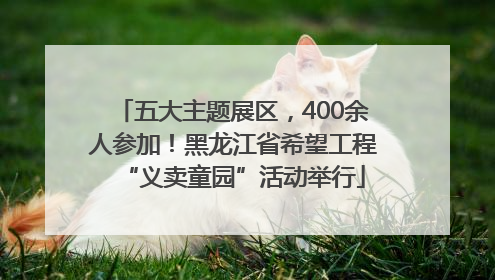 五大主题展区，400余人参加！黑龙江省希望工程“义卖童园”活动举行