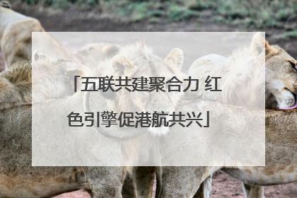 五联共建聚合力 红色引擎促港航共兴