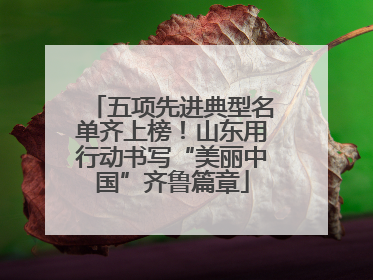 五项先进典型名单齐上榜！山东用行动书写“美丽中国”齐鲁篇章