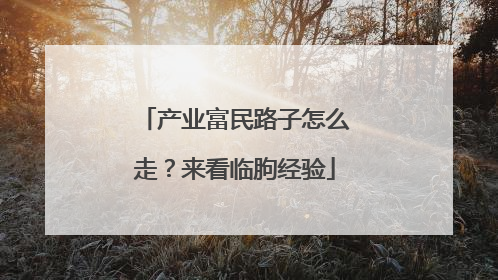 产业富民路子怎么走？来看临朐经验