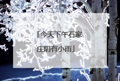 今天下午石家庄阴有小雨