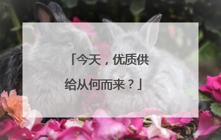 今天，优质供给从何而来？