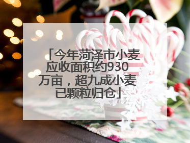 今年菏泽市小麦应收面积约930万亩，超九成小麦已颗粒归仓