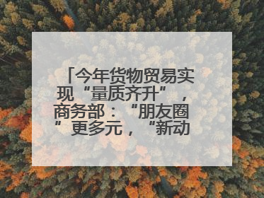 今年货物贸易实现“量质齐升”，商务部：“朋友圈”更多元，“新动能”加快集聚