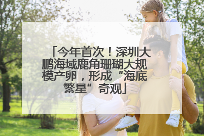 今年首次！深圳大鹏海域鹿角珊瑚大规模产卵，形成“海底繁星”奇观
