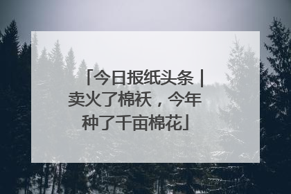 今日报纸头条｜卖火了棉袄，今年种了千亩棉花