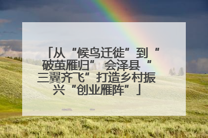 从“候鸟迁徙”到“破茧雁归” 会泽县“三翼齐飞”打造乡村振兴“创业雁阵”