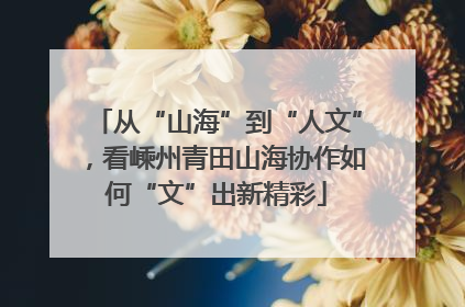 从“山海”到“人文”，看嵊州青田山海协作如何“文”出新精彩