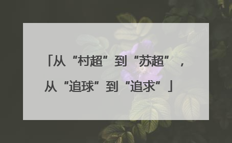 从“村超”到“苏超”，从“追球”到“追求”
