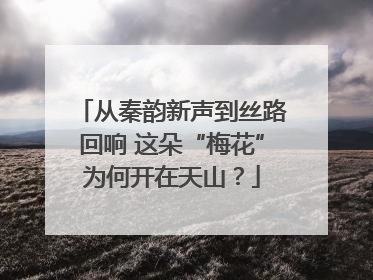 从秦韵新声到丝路回响 这朵“梅花”为何开在天山？