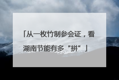 从一枚竹制参会证，看湖南节能有多“拼”