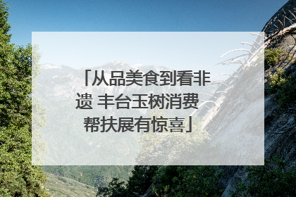 从品美食到看非遗 丰台玉树消费帮扶展有惊喜