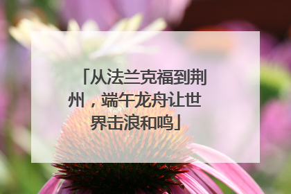 从法兰克福到荆州，端午龙舟让世界击浪和鸣