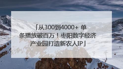 从300到4000+ 单条播放破百万！枣阳数字经济产业园打造新农人IP