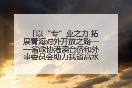 以“专”业之力 拓展青海对外开放之路——省政协港澳台侨和外事委员会助力我省高水平开放和高质量发展