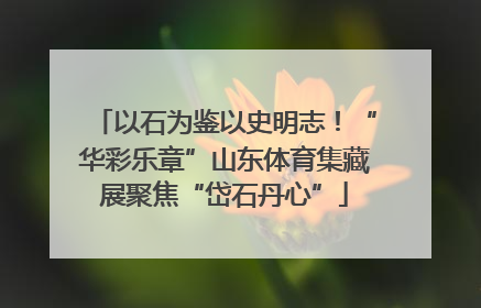 以石为鉴以史明志！“华彩乐章”山东体育集藏展聚焦“岱石丹心”