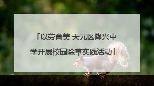 以劳育美 天元区隆兴中学开展校园除草实践活动