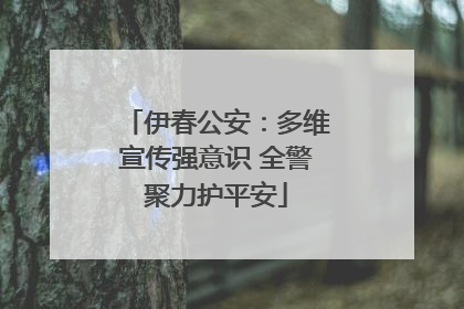 伊春公安：多维宣传强意识 全警聚力护平安