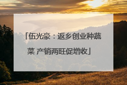 伍光豪：返乡创业种蔬菜 产销两旺促增收